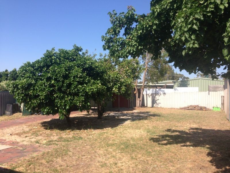 13 Hollingsworth Avenue, Koondoola WA 6064