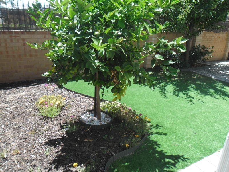 48 Prospector Loop, Bassendean WA 6054