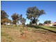 1/29 Albourne Place, Balga WA 6061