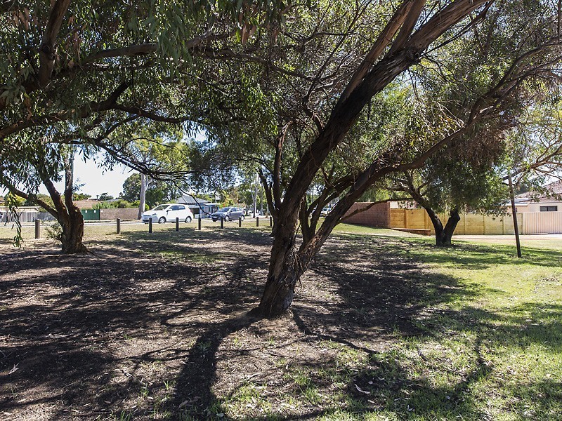 5 Widgeon Close, Stirling WA 6021