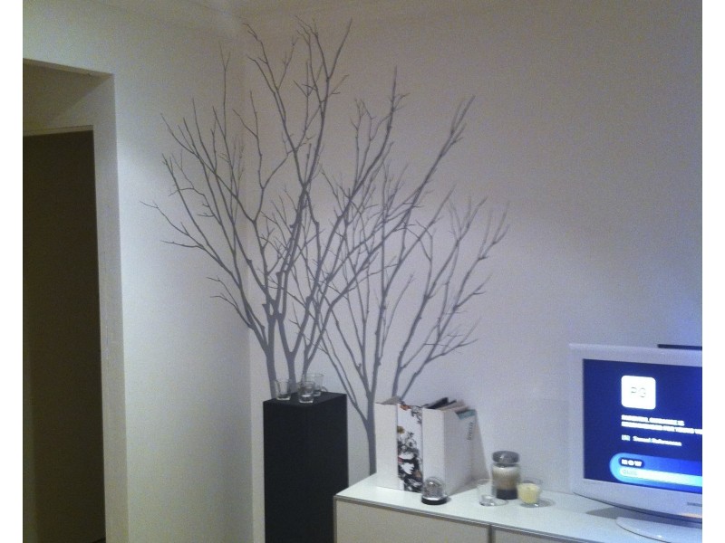 3 Teale Court, Gwelup WA 6018