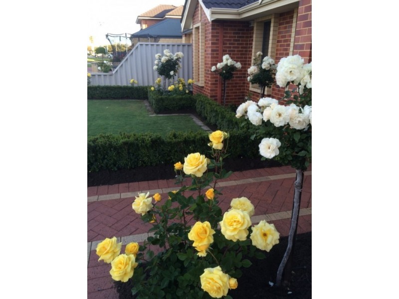 10 Milne Street, Bayswater WA 6053