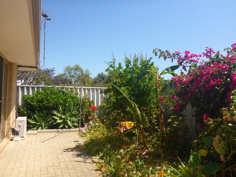 34A Bower Street, Doubleview WA 6018