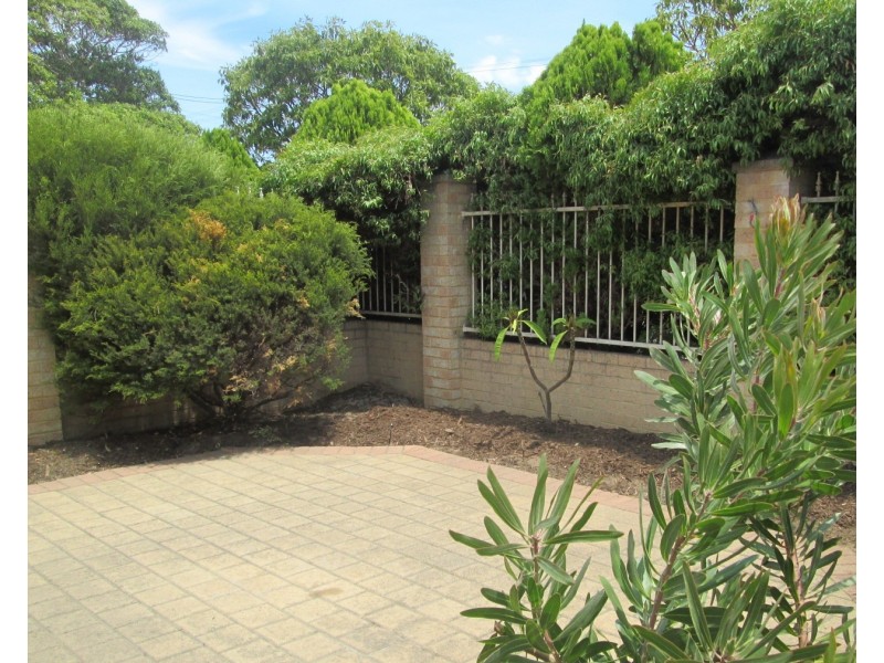 228 Herbert Street, Doubleview WA 6018