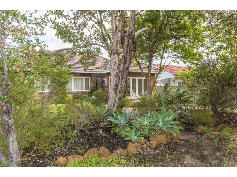 9 Lynton Street, Doubleview WA 6018