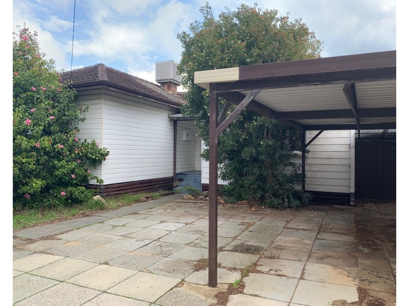 127 Alice Street, Doubleview WA 6018