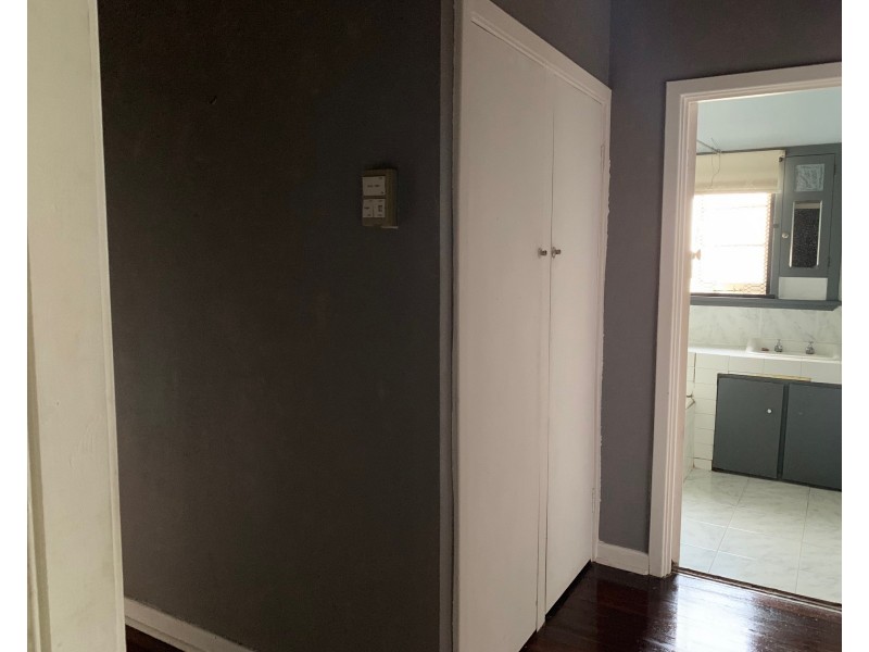 127 Alice Street, Doubleview WA 6018