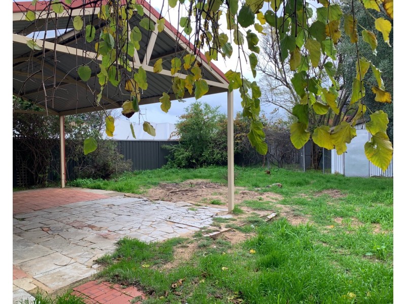 127 Alice Street, Doubleview WA 6018