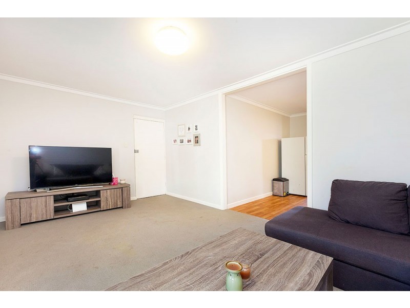 3/244 Wilding Street, Doubleview WA 6018