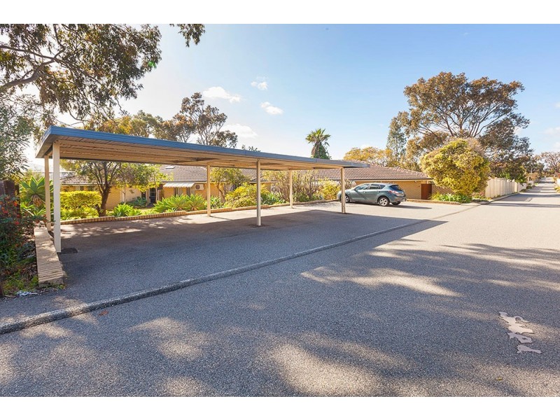 3/244 Wilding Street, Doubleview WA 6018