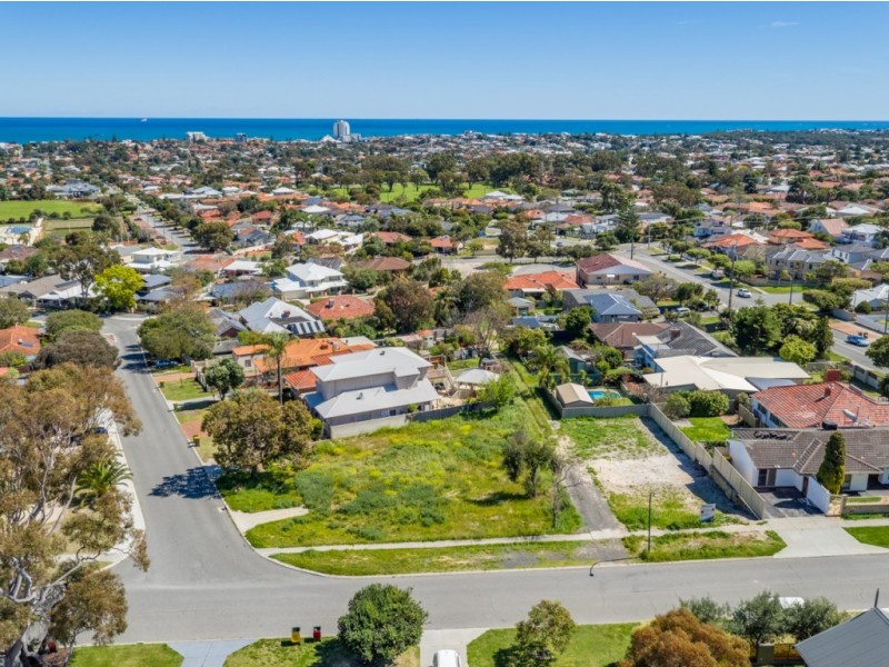 53 Paramatta Road, Doubleview WA 6018