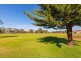 33B Shaw Road, Innaloo WA 6018