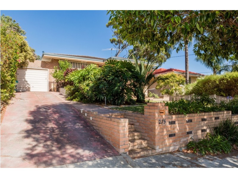 275 Ravenscar Street, Doubleview WA 6018