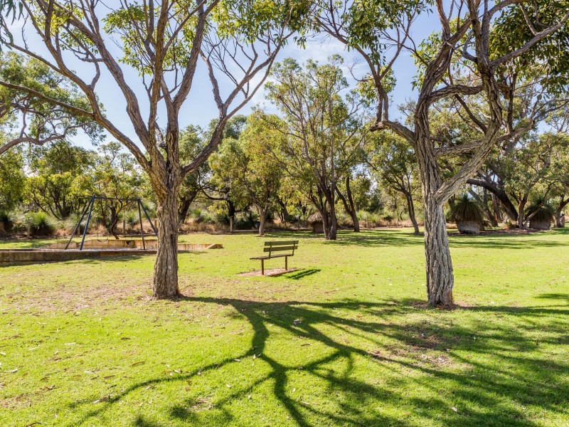 6 Padstow Street, Karrinyup WA 6018