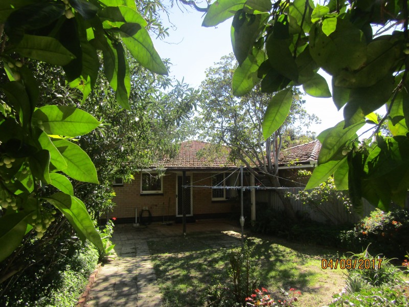 413 Karrinyup Road, Innaloo WA 6018