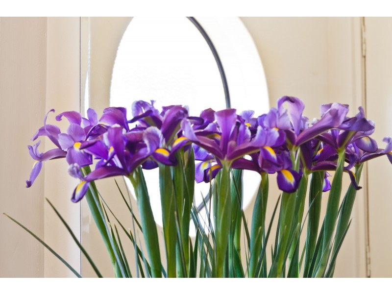 58 La Grange Street, Innaloo WA 6018