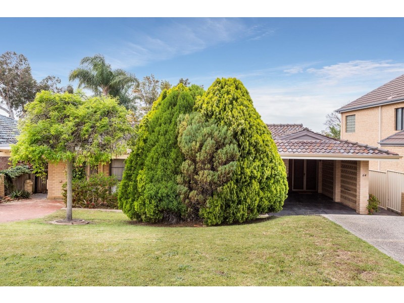 64 Alver Road, Doubleview WA 6018