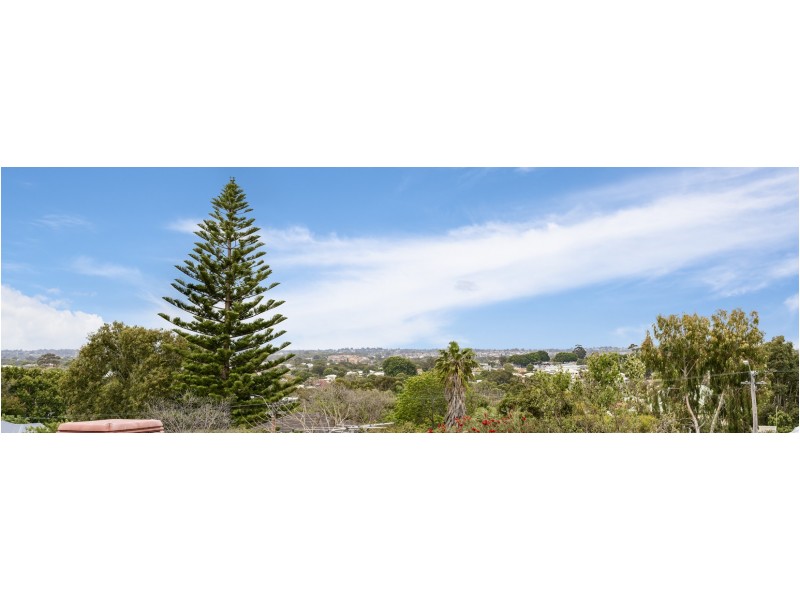223A Wilding Street, Doubleview WA 6018