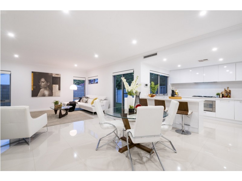 223A Wilding Street, Doubleview WA 6018