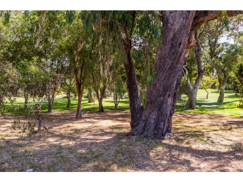 6 Wincanton Road, Karrinyup WA 6018