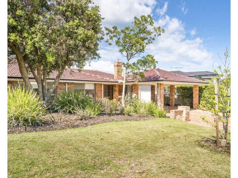 37 Hazelwood Loop, Carine WA 6020