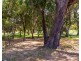 6 Wincanton Road, Karrinyup WA 6018
