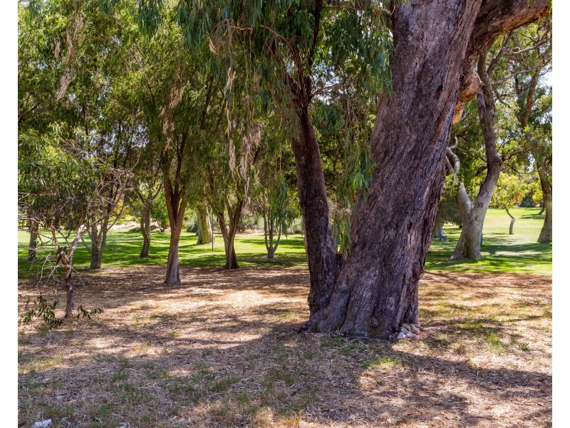 6 Wincanton Road, Karrinyup WA 6018