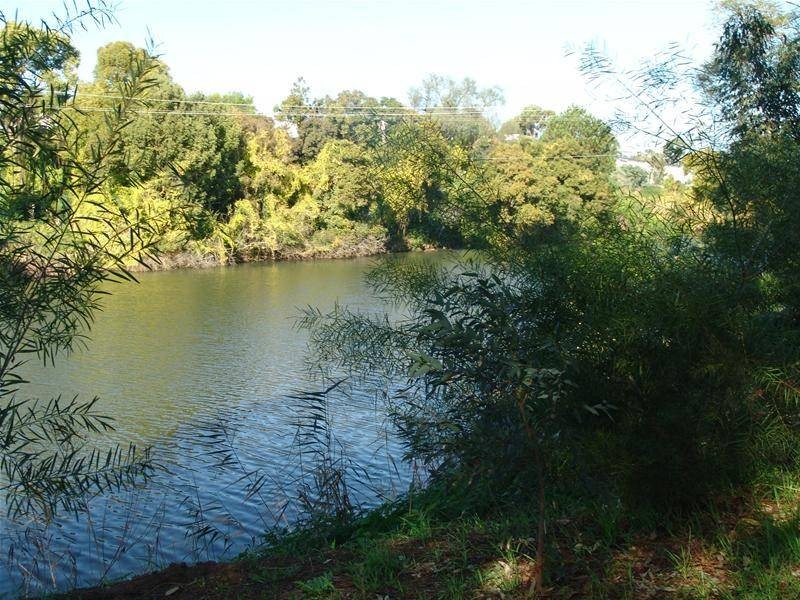 61/1 Riverpark Drive, Liverpool NSW 2170