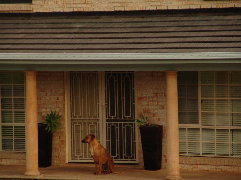 36 Culverston Avenue, Denham Court NSW 2565