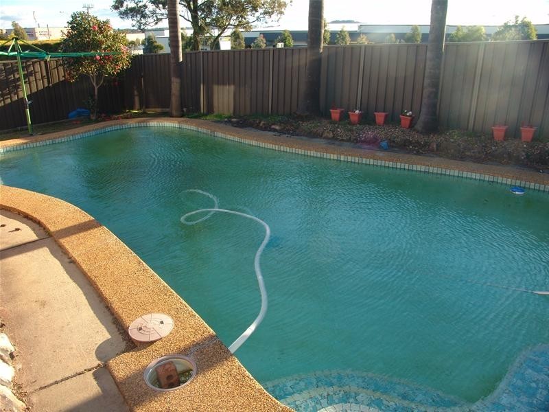 29 Borthwick Street, Minto NSW 2566