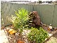 Hinchinbrook NSW 2168