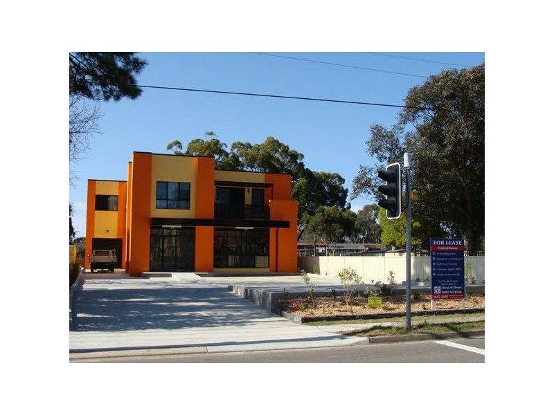 163 Elizabeth Drive, Liverpool NSW 2170