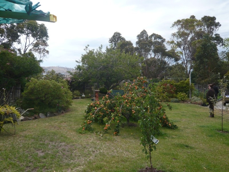 5 Stieglitz Place, Bridgewater TAS 7030