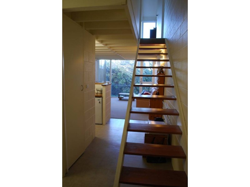 3/12a Lynton Avenue, South Hobart TAS 7004