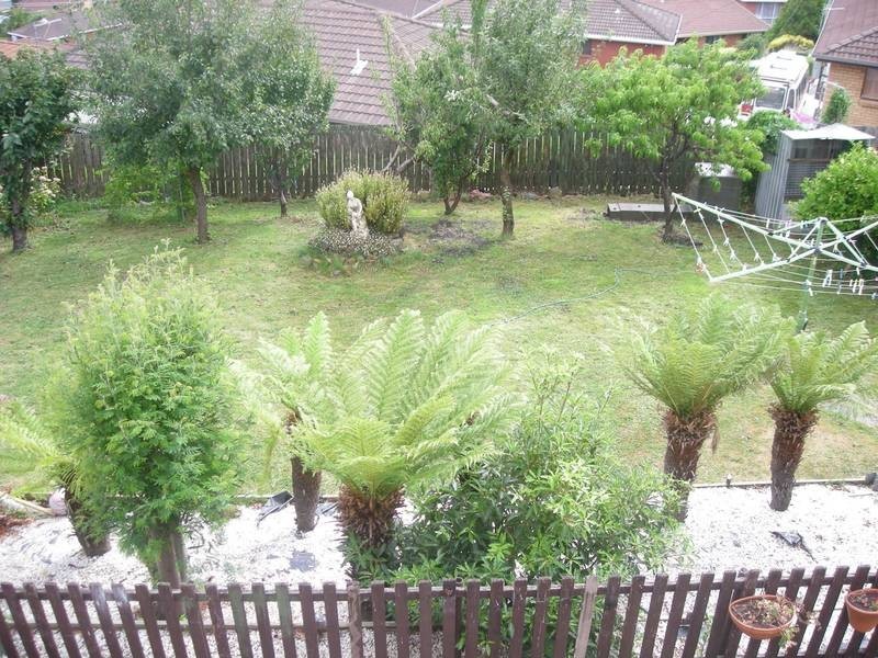 77 Ashborne Grove, West Moonah TAS 7009