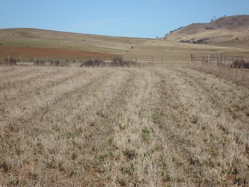 95 Main Road, Kempton TAS 7030