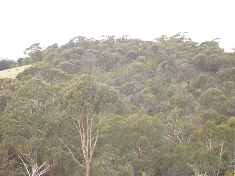 Wallcrest Road, Berriedale TAS 7011