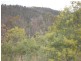 Wallcrest Road, Berriedale TAS 7011