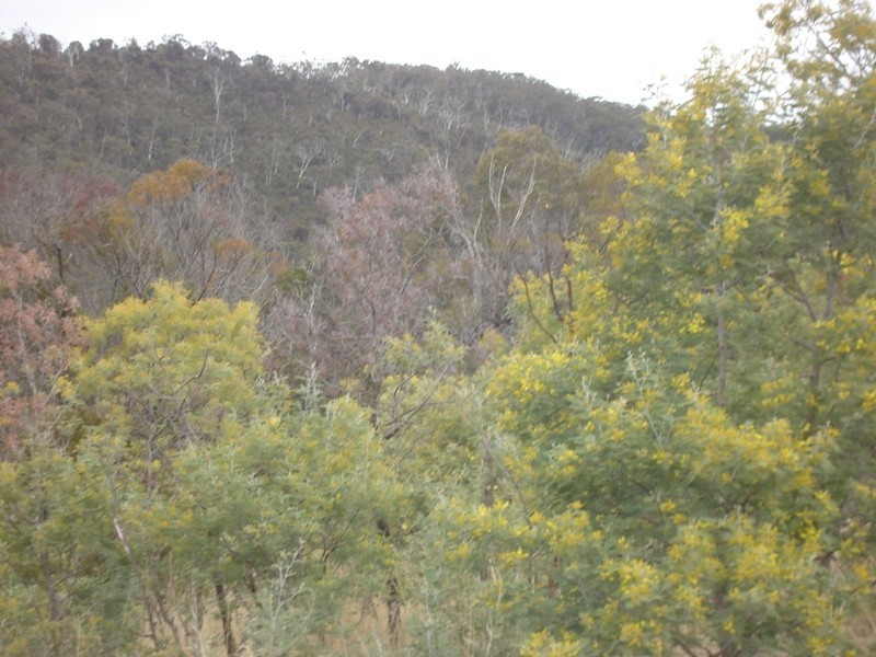 Wallcrest Road, Berriedale TAS 7011