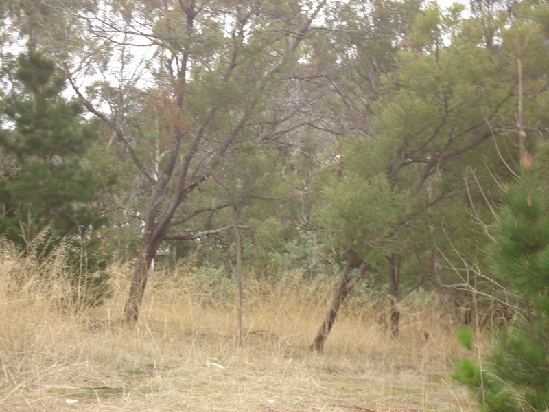 Wallcrest Road, Berriedale TAS 7011