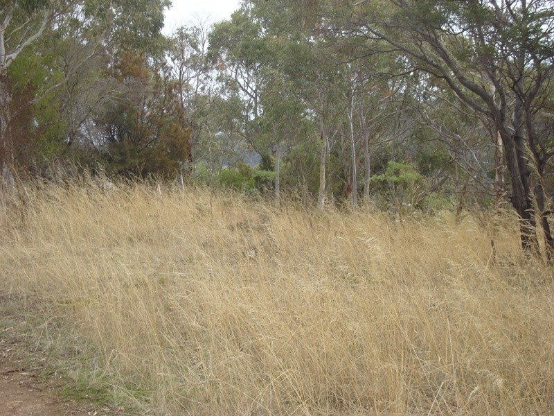 Wallcrest Road, Berriedale TAS 7011