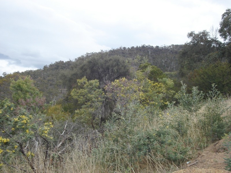 Wallcrest Road, Berriedale TAS 7011