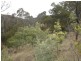 Wallcrest Road, Berriedale TAS 7011