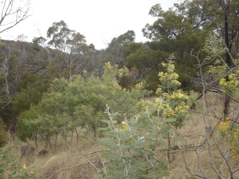 Wallcrest Road, Berriedale TAS 7011
