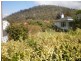 4 Bycool Circle, Chigwell TAS 7011