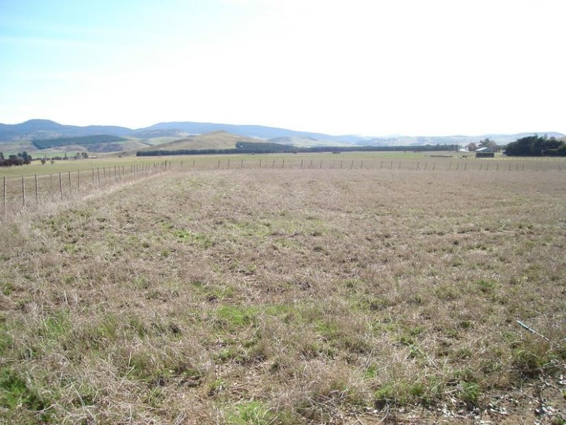 95 Main Road – Alpha House & Land Package, Kempton TAS 7030