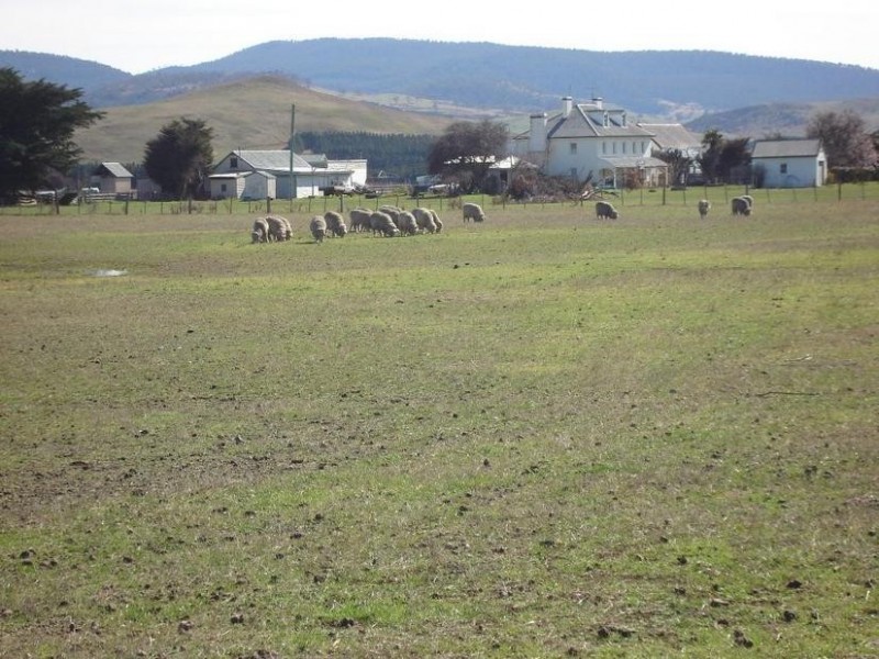 Hotondo – Cygnet 91 House & Land – Main Road, Kempton TAS 7030