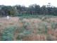 Lot Lots 1 & 2, 450 Boyer Road, Dromedary TAS 7030
