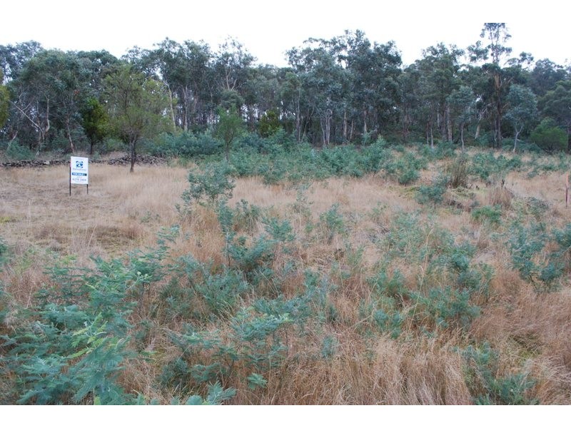 Lot Lots 1 & 2, 450 Boyer Road, Dromedary TAS 7030