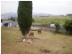 27 Old Main Road, Bridgewater TAS 7030